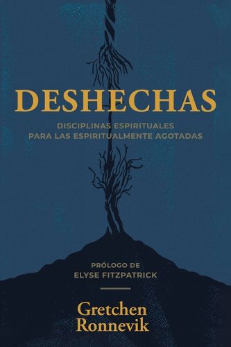Cover image for Deshechas