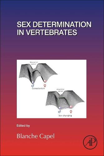 Cover image for Sex Determination in Vertebrates