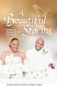 Cover image for A Beautiful Storm