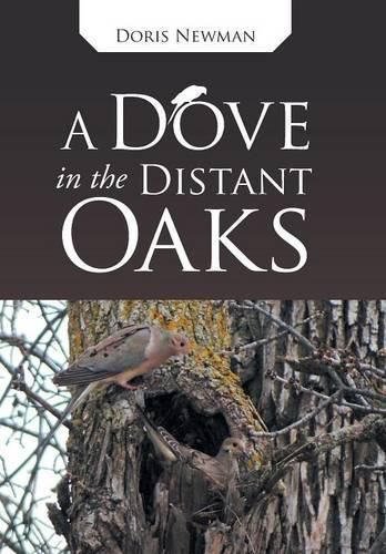 Cover image for A Dove in the Distant Oaks