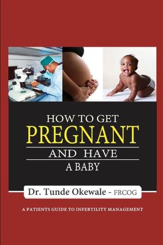 Cover image for How to Get Pregnant and Have a Baby: A Patient's Guide to Infertility Management