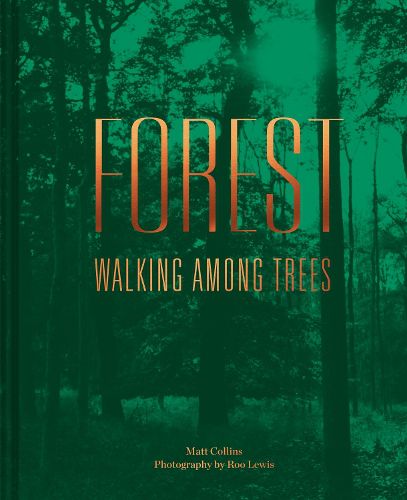 Cover image for Forest: Walking among trees