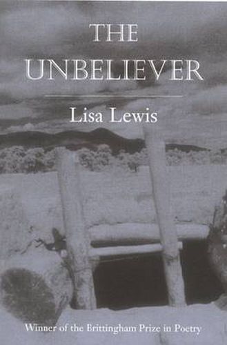 Cover image for The Unbeliever