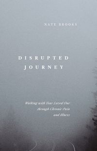 Cover image for Disrupted Journey