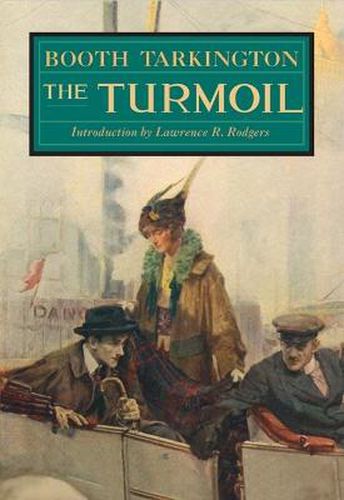 Cover image for The Turmoil