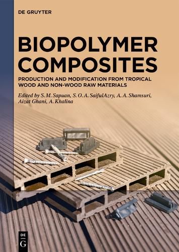 Cover image for Biopolymer Composites