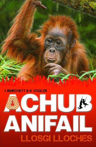 Cover image for Achub Anifail: Llosgi Lloches