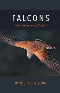 Cover image for Falcons
