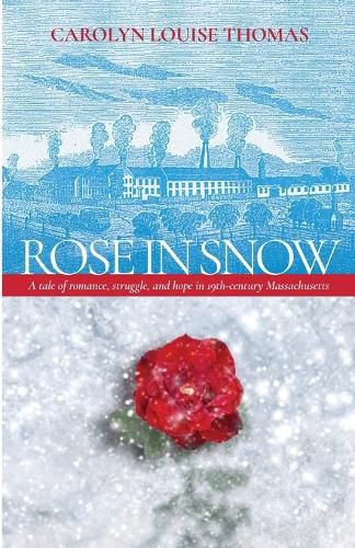 Rose in Snow