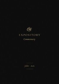 Cover image for ESV Expository Commentary: John-Acts