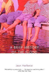 Cover image for A Brief History of the Flood