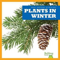 Cover image for Plants in Winter