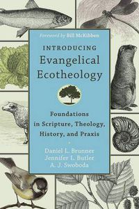 Cover image for Introducing Evangelical Ecotheology - Foundations in Scripture, Theology, History, and Praxis