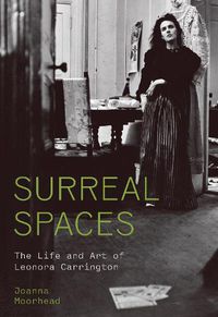 Cover image for Surreal Spaces