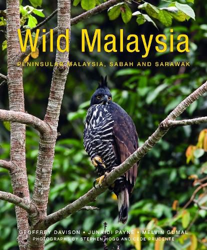 Cover image for Wild Malaysia (2nd edition)