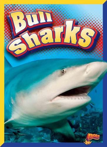 Cover image for Bull Sharks