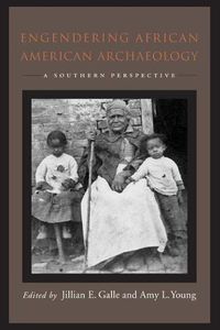 Cover image for Engendering African American Archaeology: A Southern Perspective