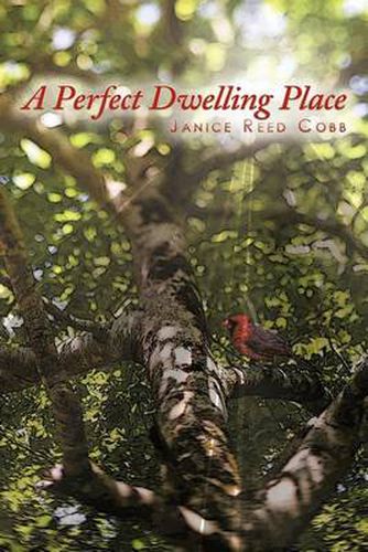 Cover image for A Perfect Dwelling Place