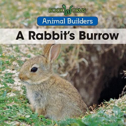 Cover image for A Rabbit's Burrow