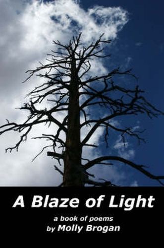 Cover image for A Blaze of Light