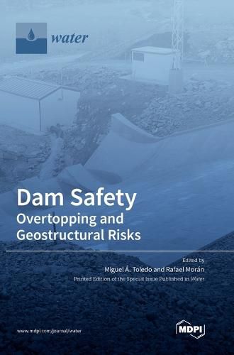 Cover image for Dam Safety.