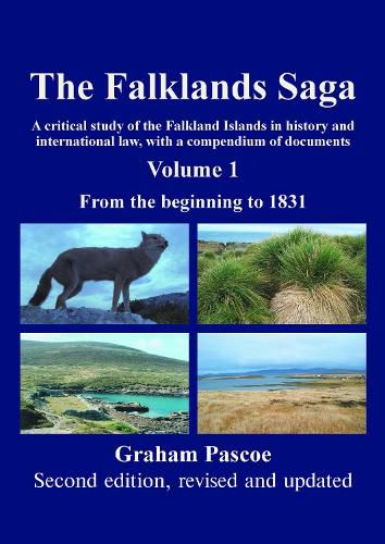 The Falklands Saga