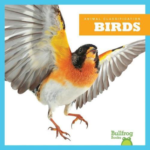 Cover image for Birds