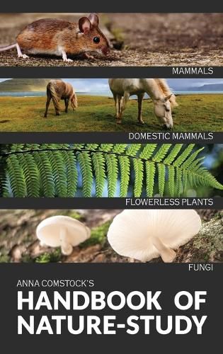 Cover image for The Handbook Of Nature Study in Color - Mammals and Flowerless Plants