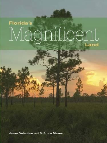 Cover image for Florida's Magnificent Land