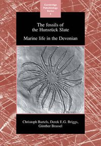 Cover image for The Fossils of the Hunsruck Slate: Marine Life in the Devonian