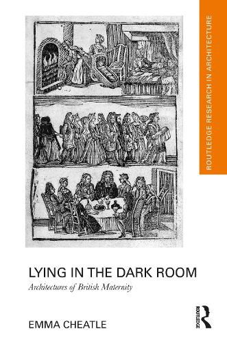 Cover image for Lying in the Dark Room