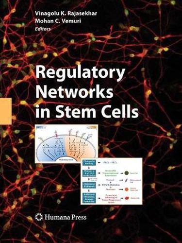 Cover image for Regulatory Networks in Stem Cells