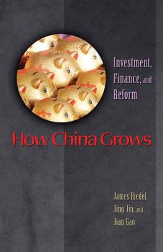 Cover image for How China Grows: Investment, Finance, and Reform