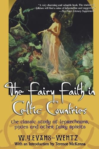 Cover image for Fairy Faith in Celtic Countries: The Classic Study of Leprechauns, Pixies, and Other Fairy Spirits