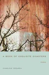 Cover image for A Book of Exquisite Disasters