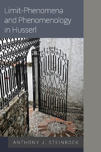 Cover image for Limit-Phenomena and Phenomenology in Husserl