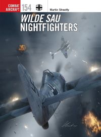 Cover image for Wilde Sau Nightfighters