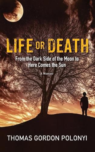 Cover image for Life or Death: From Dark Side of the Moon to Here Comes the Sun