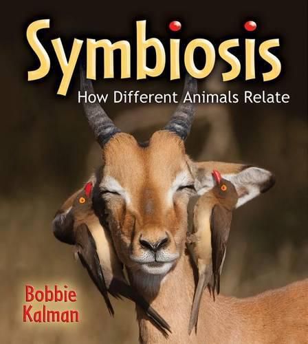 Cover image for Symbiosis: How Different Animals Relate