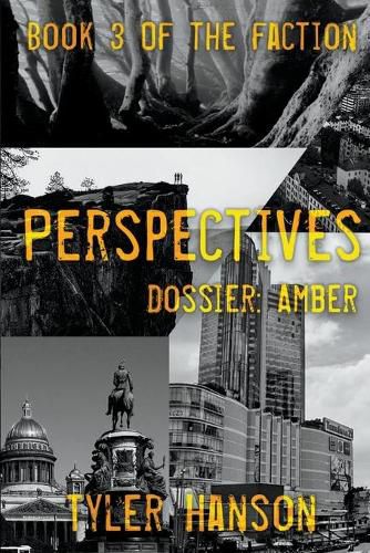 Cover image for Perspectives: Dossier Amber