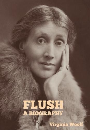 Cover image for Flush