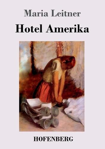 Cover image for Hotel Amerika