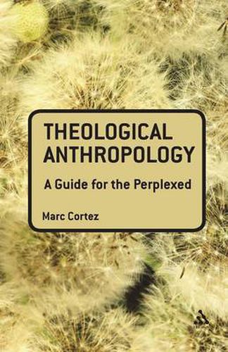 Cover image for Theological Anthropology: A Guide for the Perplexed