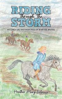 Cover image for Riding Through the Storm