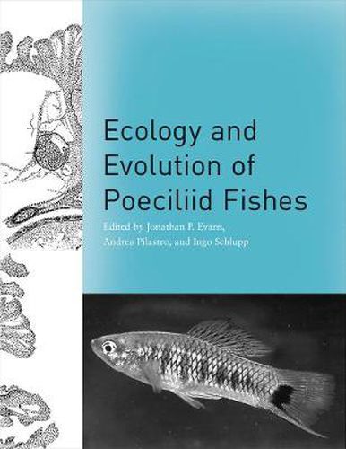 Cover image for Ecology and Evolution of Poeciliid Fishes