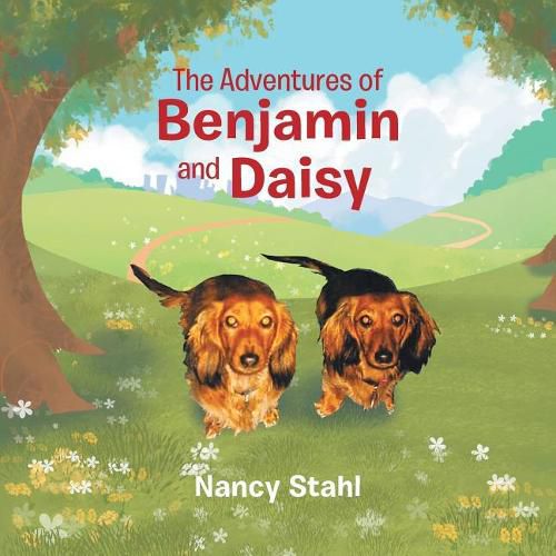 Cover image for The Adventures of Benjamin and Daisy