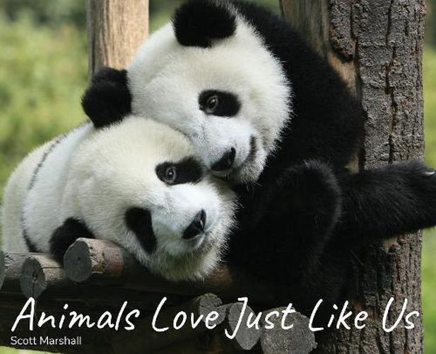 Cover image for Animals Love Just Like Us