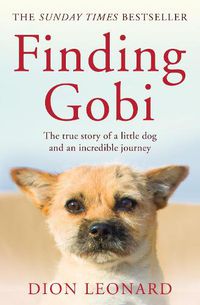 Cover image for Finding Gobi (Main edition): The True Story of a Little Dog and an Incredible Journey