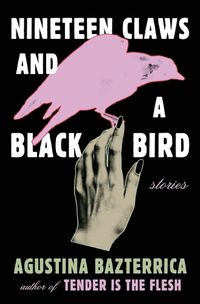 Cover image for Nineteen Claws and a Black Bird