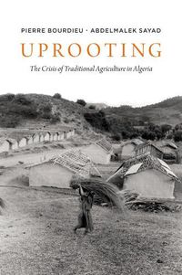 Cover image for Uprooting: The Crisis of Traditional Algriculture in Algeria